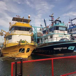 Altınkum Fishing Harbor - Altınkum