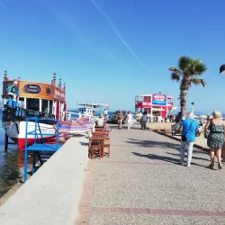Altınkum Fishing Harbor - Altınkum