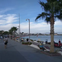 Altınkum Fishing Harbor - Altınkum