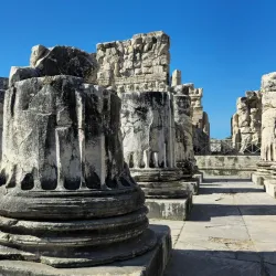 Temple of Apollo at Didyma - Altınkum