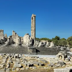 Temple of Apollo at Didyma - Altınkum