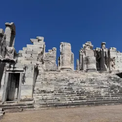 Temple of Apollo at Didyma - Altınkum