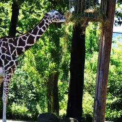 Atatürk Forest Farm and Zoo (Atatürk Orman Çiftliği) - Ankara
