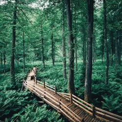 Borçka Karagöl Nature Park - Artvin