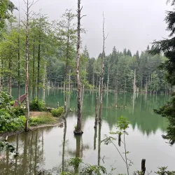 Borçka Karagöl Nature Park - Artvin