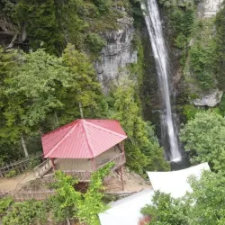 Camili Biosphere Reserve - Artvin