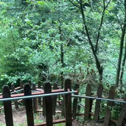 Camili Biosphere Reserve - Artvin