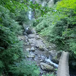 Camili Biosphere Reserve - Artvin