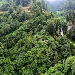 Camili Biosphere Reserve - Artvin