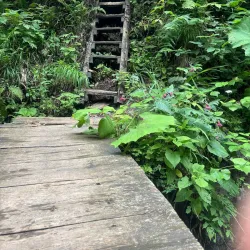 Camili Biosphere Reserve - Artvin