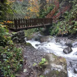 Camili Biosphere Reserve - Artvin