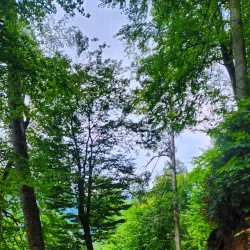 Camili Biosphere Reserve - Artvin