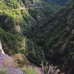 Hatila Valley National Park - Artvin