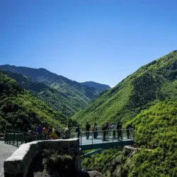 Hatila Valley National Park - Artvin