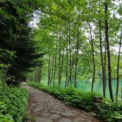 Karagöl-Sahara National Park - Artvin