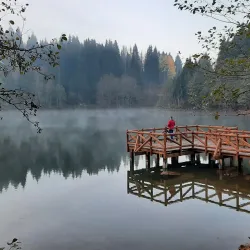 Karagöl-Sahara National Park - Artvin