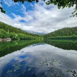 Karagöl-Sahara National Park - Artvin