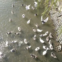 Kızılırmak River - Avanos