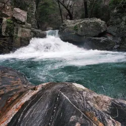 Kazdağı National Park - Balikesir