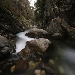 Kazdağı National Park - Balikesir