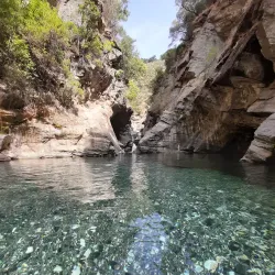 Kazdağı National Park - Balikesir