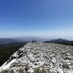 Kazdağı National Park - Balikesir