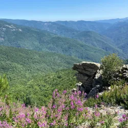 Kazdağı National Park - Balikesir