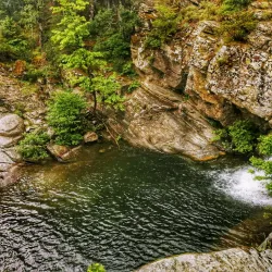 Kazdağı National Park - Balikesir