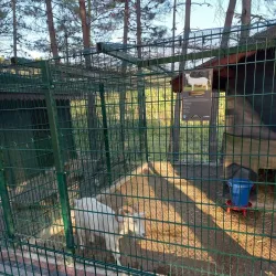 Bartın City Park - Bartin