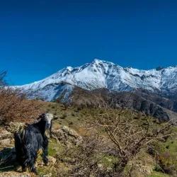 Sason Mountains - Batman