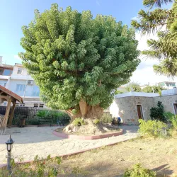 Mausoleum at Halicarnassus - Bodrum