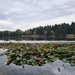 Gölcük Nature Park - Bolu