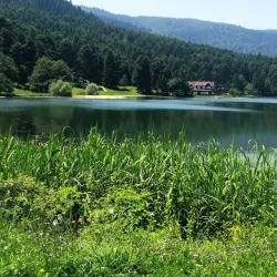 Gölcük Nature Park - Bolu