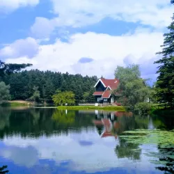 Gölcük Nature Park - Bolu