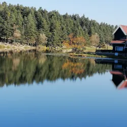 Gölcük Nature Park - Bolu