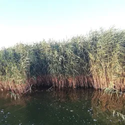 Lake Yeniçağa - Bolu