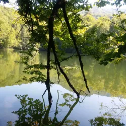 Yedigöller National Park - Bolu