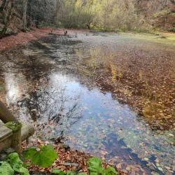 Yedigöller National Park - Bolu