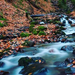 Yedigöller National Park - Bolu