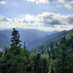 Yedigöller National Park - Bolu
