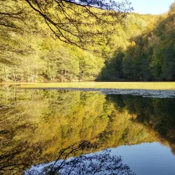 Yedigöller National Park - Bolu