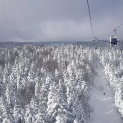 Mount Uludağ National Park - Bursa