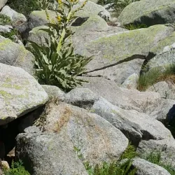 Mount Uludağ National Park - Bursa