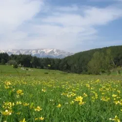 Mount Uludağ National Park - Bursa