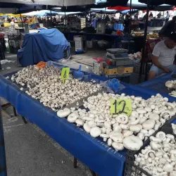 Çorum Bazaar - Corum (Çorum)