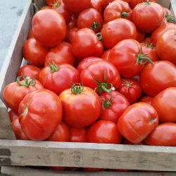 Çorum Bazaar - Corum (Çorum)