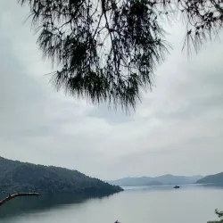 Dalyan Delta Nature Reserve - Dalyan