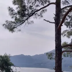 Dalyan Delta Nature Reserve - Dalyan