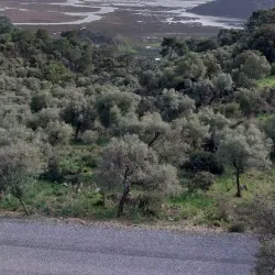Dalyan Delta Nature Reserve - Dalyan