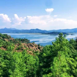 Dalyan Delta Nature Reserve - Dalyan